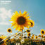 Cover Flowers
