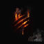 Cover Fireborn