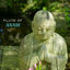 Cover Flute of Anam