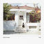 Cover Journey