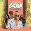 Cover Crush Blogueirinha