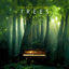 Cover Trees
