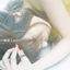 Cover Himitsu