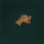 Cover RIGHT NOW