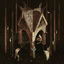 Cover Thrice Woven