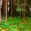 Cover Landscapes