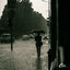 Cover rain fall