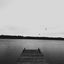 Cover Limerence
