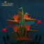 Cover Lost In Paradise