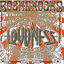 Cover Rock Shocks