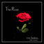 Cover The Rose
