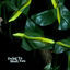 Cover Dying To Meet You