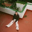 Cover Home Pt. 2