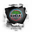 Cover Bonzai Records - Retrospective 1995