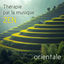 Cover Thérapie par la musique zen orientale - Troubles du sommeil, Stress, Nervosité, Le pleur de bébé: Musicothérapie, Méditation guidé