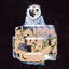 Cover Virgo Rising