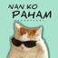 Cover Nan Ko Paham
