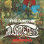 Cover Dawn Of Awarness