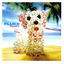 Cover Puppy
