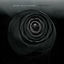 Cover Severance