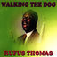 Cover Walking The Dog