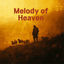 Cover Melody of Heaven