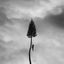Cover A Black Mile To The Surface
