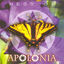 Cover Best of Apolonia