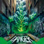 Cover Danger