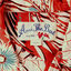 Cover ANRI the BEST