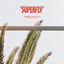 Cover Superfly