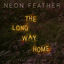 Cover The Long Way Home (feat. David Dunn)