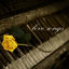 Cover Música Instrumental: Love Songs