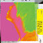 Cover Who are you? / Seizashite futari