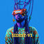 Cover Sidist (VI)