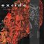 Cover Deliberate Revolver
