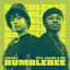 Cover Bumblebee