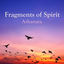 Cover Fragments of Spirit