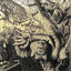 Cover Pantophobie