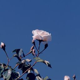 ''