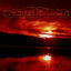 Cover ...zum Tode hin