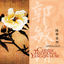 Cover Chinese Traditional Yang-Qin Music