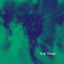 Cover Scar Tissue