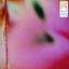 Cover Winter Sun / Fever Dream
