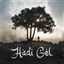 Cover Hadi Gel