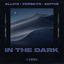 Cover In the Dark
