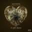 Cover 5 Gold Chains