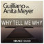 Cover Why Tell Me Why (Guilliano vs. Anita Meyer)