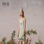 Cover Rex Perverso