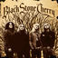 Cover Black Stone Cherry